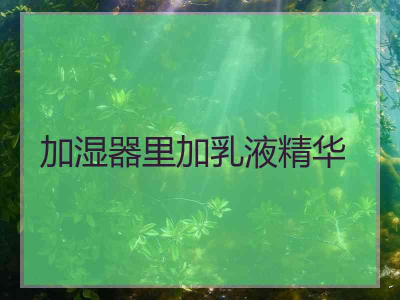 加湿器里加乳液精华