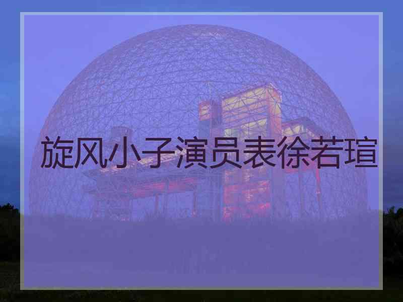 旋风小子演员表徐若瑄