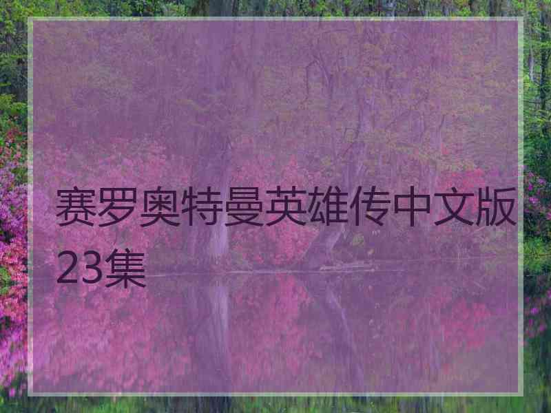 赛罗奥特曼英雄传中文版23集