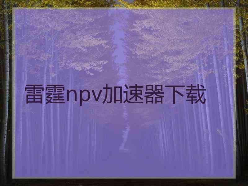 雷霆npv加速器下载