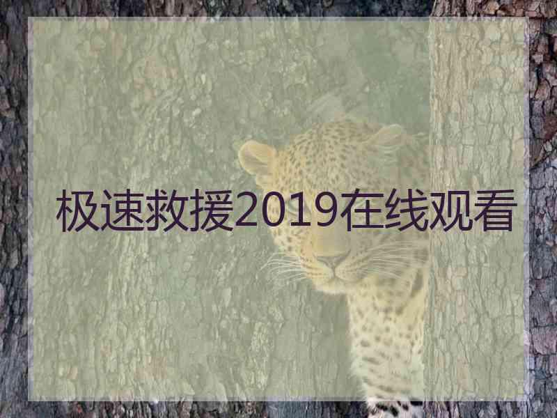 极速救援2019在线观看
