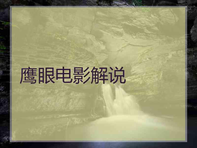 鹰眼电影解说
