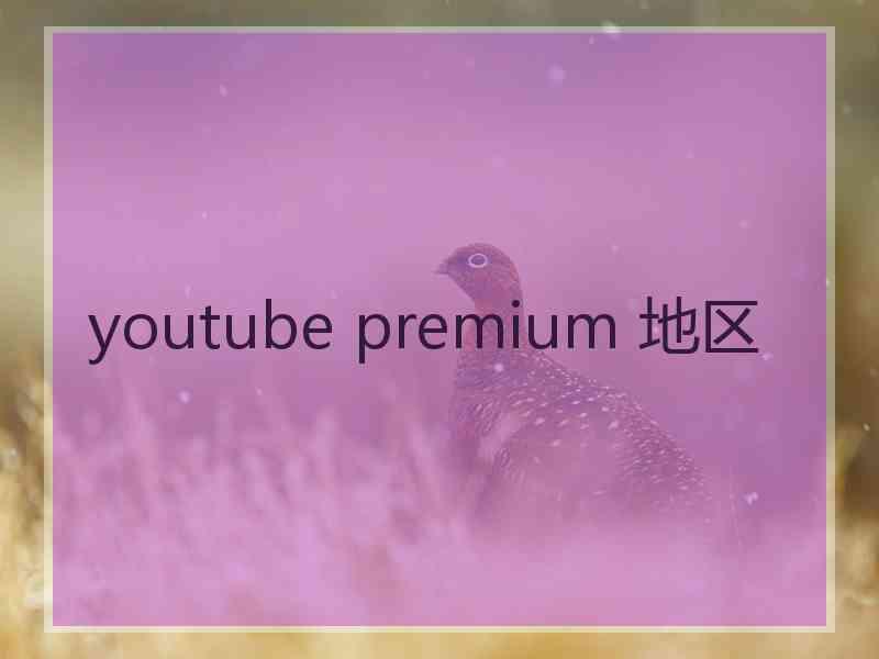 youtube premium 地区