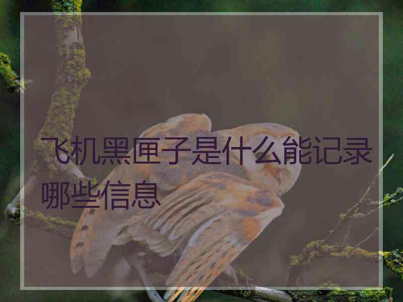 飞机黑匣子是什么能记录哪些信息