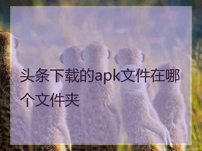 头条下载的apk文件在哪个文件夹
