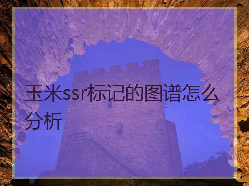 玉米ssr标记的图谱怎么分析