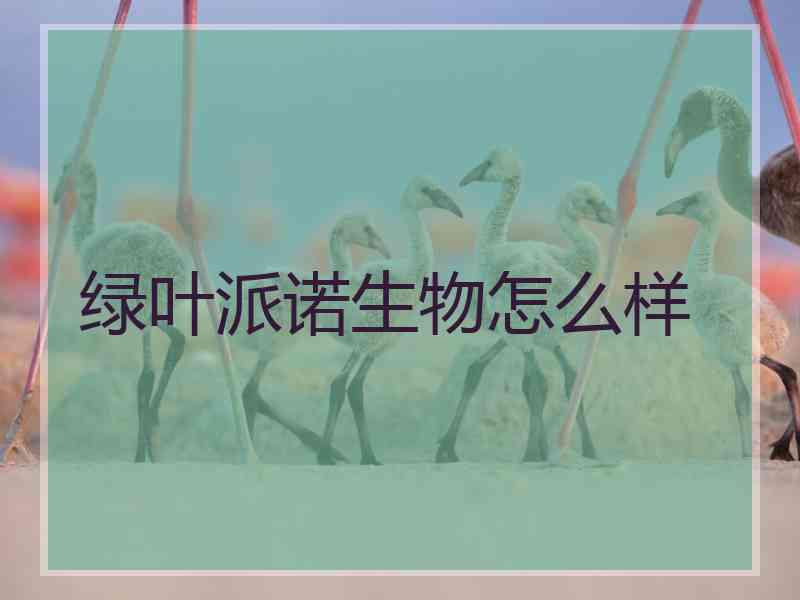 绿叶派诺生物怎么样