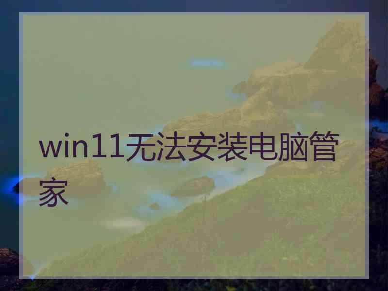 win11无法安装电脑管家