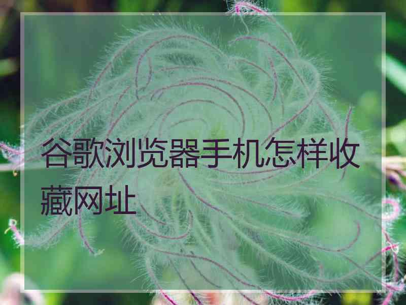 谷歌浏览器手机怎样收藏网址